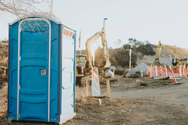 Best Affordable portable toilet rental  in South Chicago Heights, IL