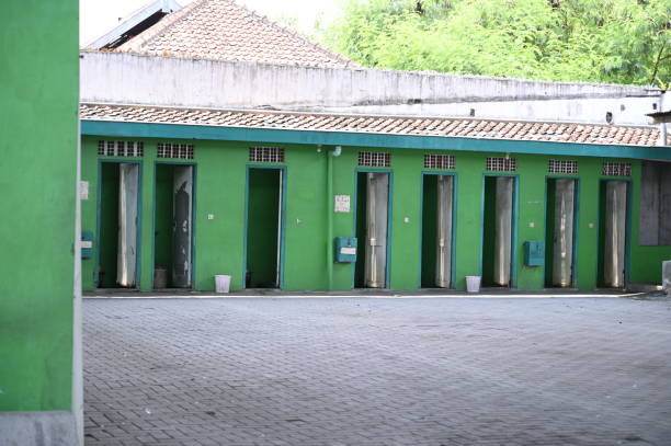 Best Sanitation services for porta potties  in South Chicago Heights, IL